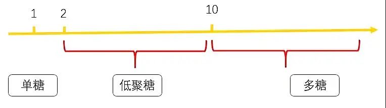 化妆品原料多糖类.jpg