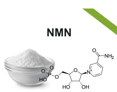 其他原料β-烟酰胺单核苷酸（NMN）与NAD+的关系